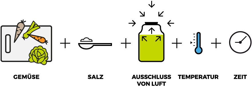 infografik-laktofermentation